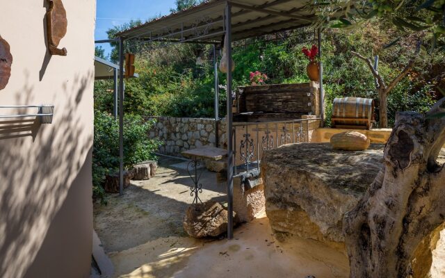 The Olive House