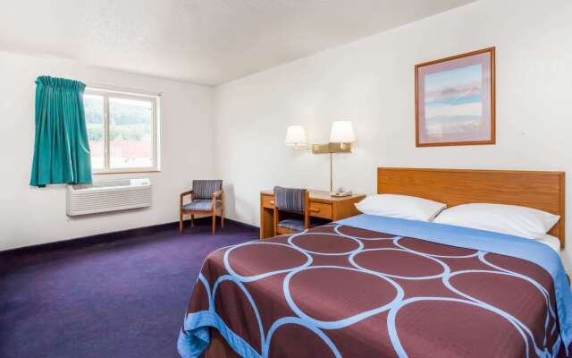 Super 8 by Wyndham Sidney NY