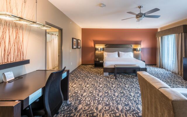 Holiday Inn Express & Suites North Dallas at Preston, an IHG Hotel