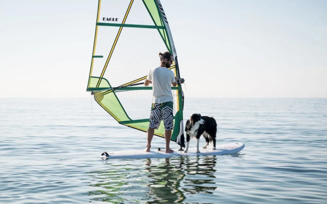 Fischland Ferienhäuser