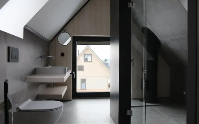Villa in Dolni Morava Near Ski Slopes