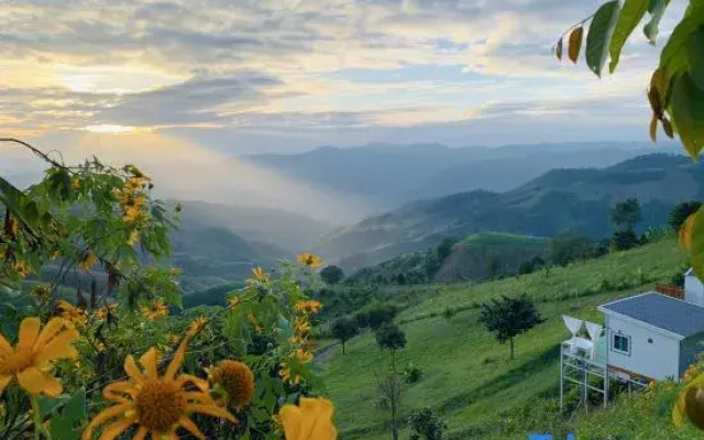 SkyVille cafe&homestay