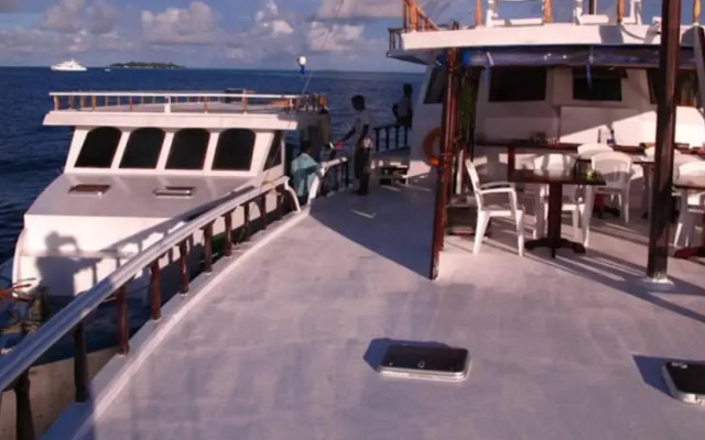 Flying Fish
