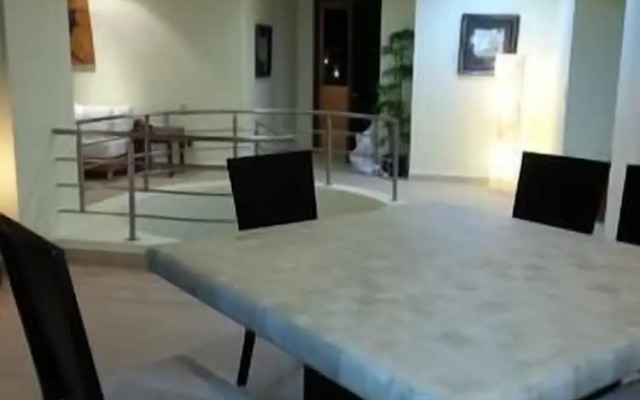 Palmetto Ixtapa 313