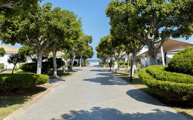 VOI Le Muse Essentia