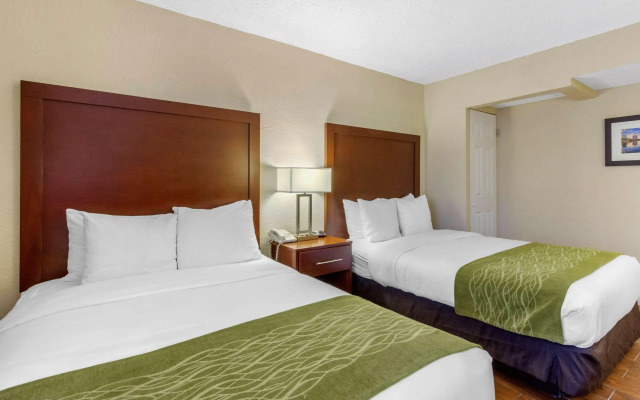 Comfort Inn St Petersburg North