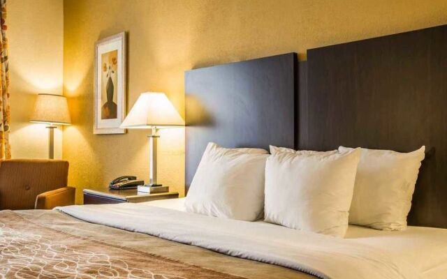 Comfort Inn