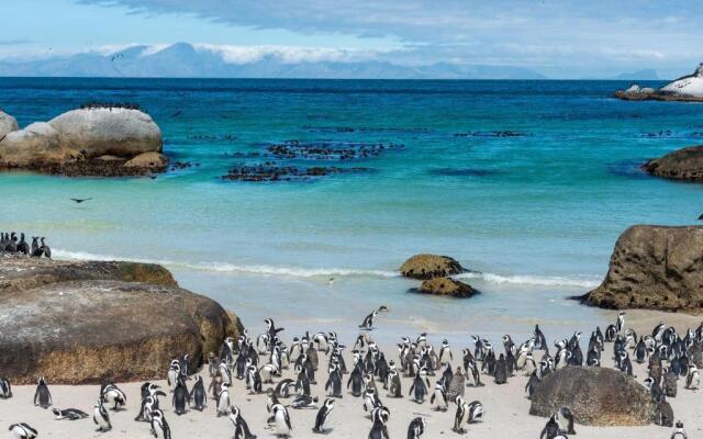 South Beach Camps Bay Boutique Hotel