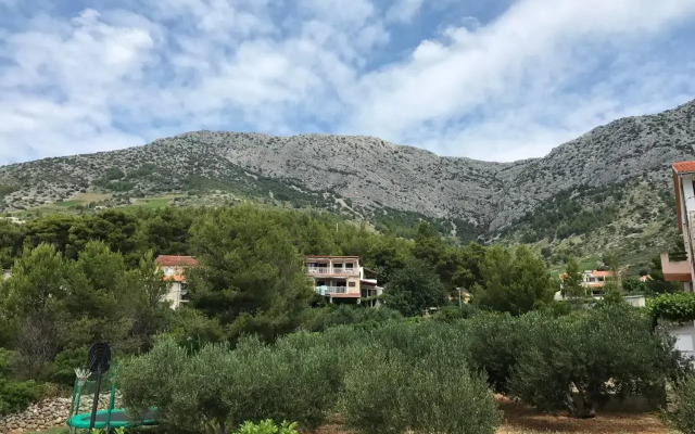 Apartments Ana