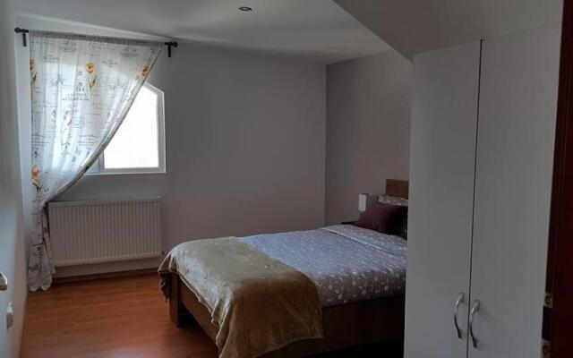 Prahova Valley Apartment
