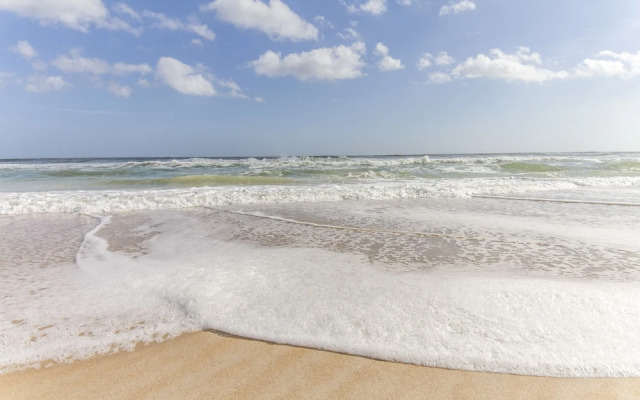Wave Watch