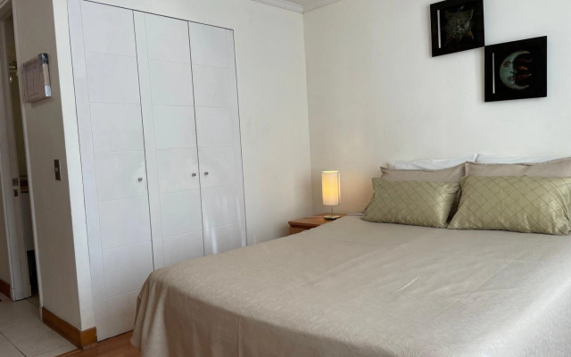Santiago Lastarria Apartment