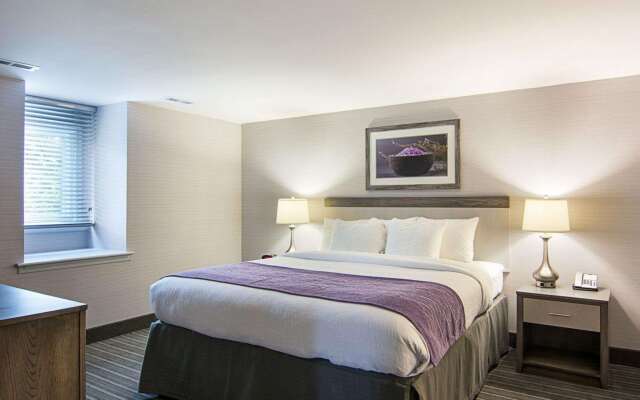 Comfort Inn Williamsburg Gateway