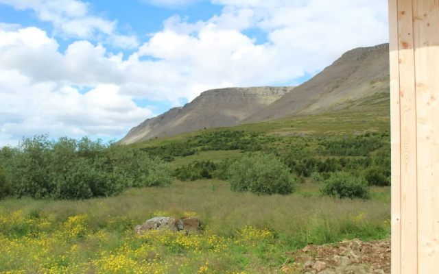 Systrakot