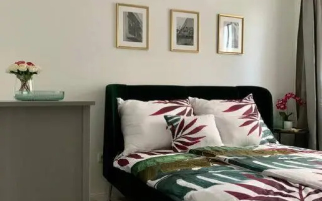 Sicomoro Casa