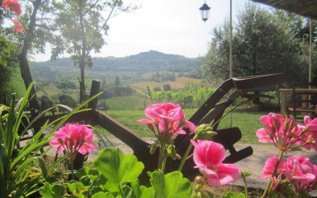 Agriturismo le Spighe - Fattoria Bertaccini