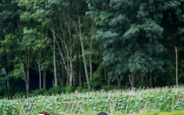 wushengJingyuan daizuyuan Branch)