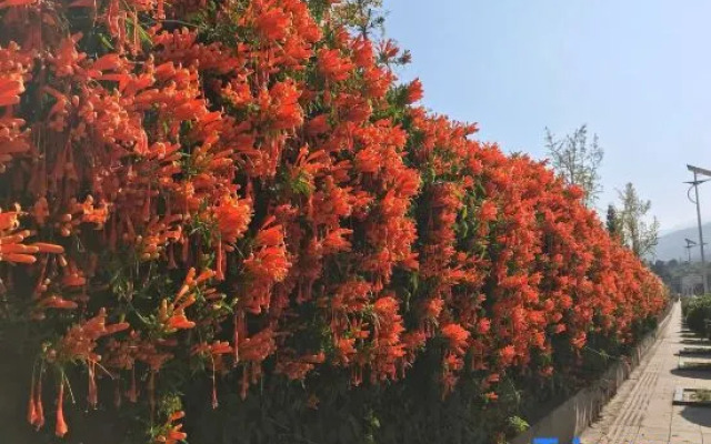 Xichang Bibofu Inn