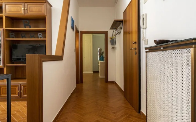 Studio Vita Zucchini 6