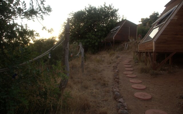 Caliente Bungalows - Adults Only