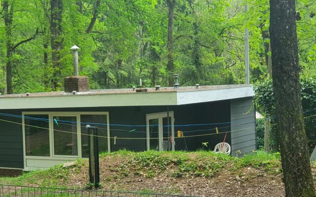 Bungalow in Kempen Forests for Nature Lovers
