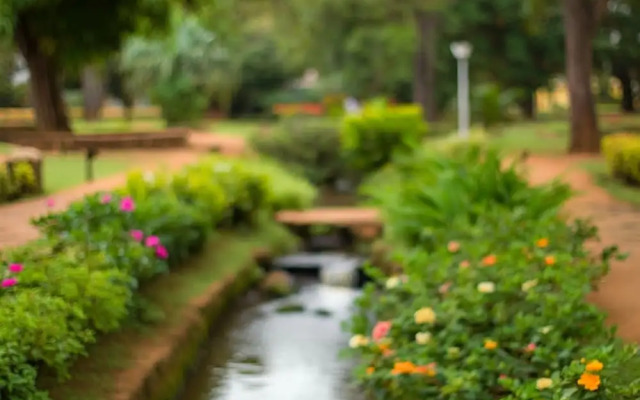 Mirage inn