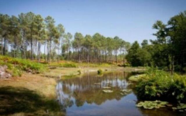 Gite Pouydesseaux, 5 pièces, 6 personnes - FR-1-360-20