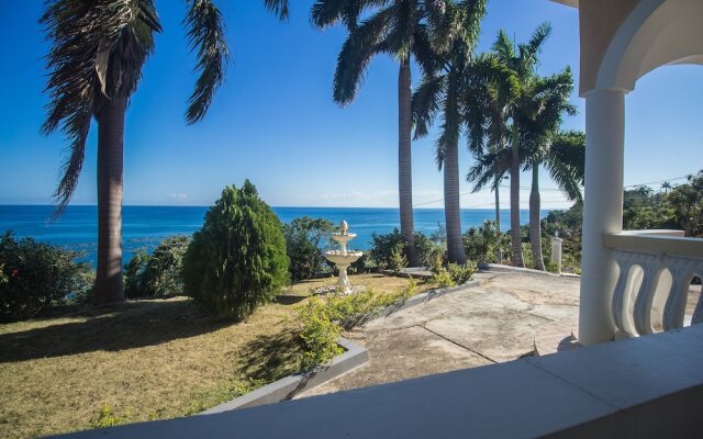 Tall Palms