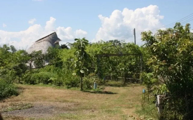 Sanpatong Farm Stay