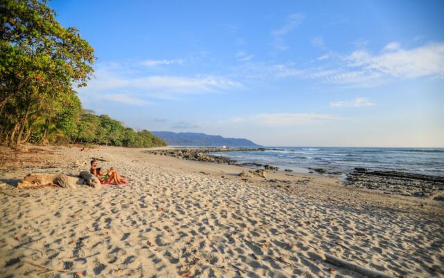 Nekaui Beachside Villa 3 Experience Nature