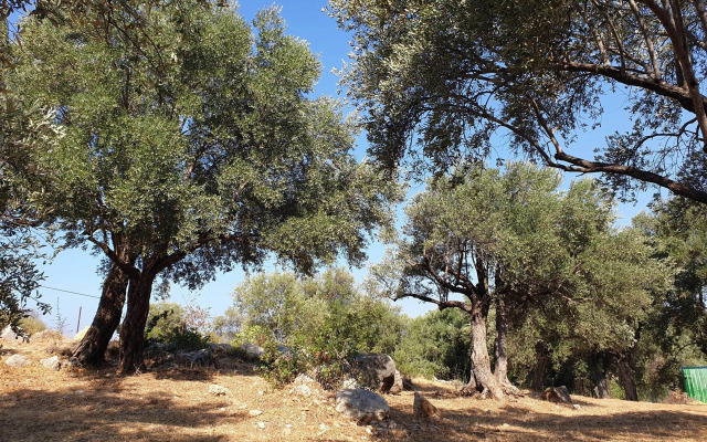 Patara Caretta Hotel