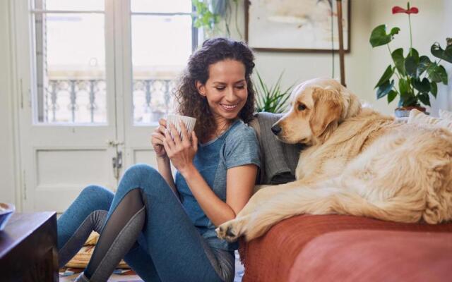 Staybridge Suites Auburn Hills by IHG