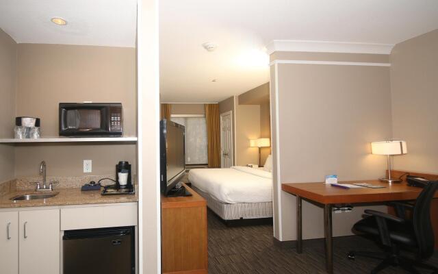 SpringHill Suites by Marriott Charleston N./Ashley Phosphate