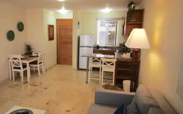 Colonial Modern 1BR APT Colonial Zone