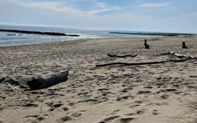 Studio vue port, belle terrasse, piscine