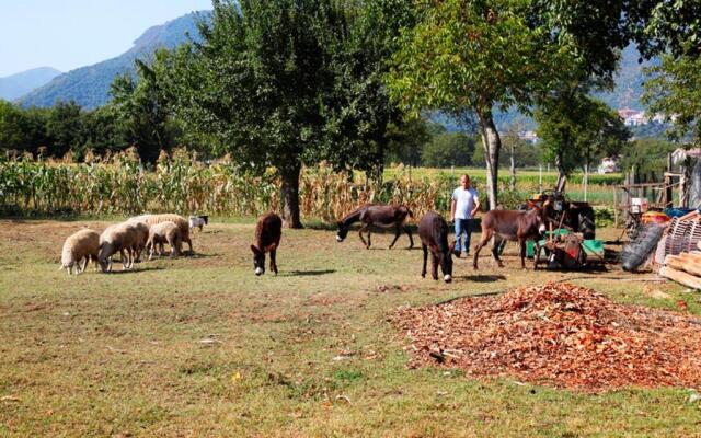 Azienda Agrituristica Pericle