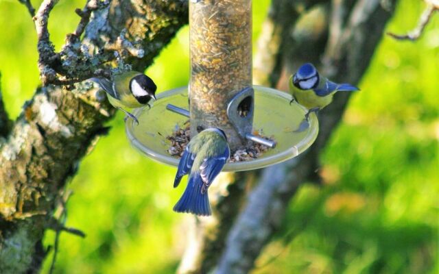 A L'ombre des Pommiers