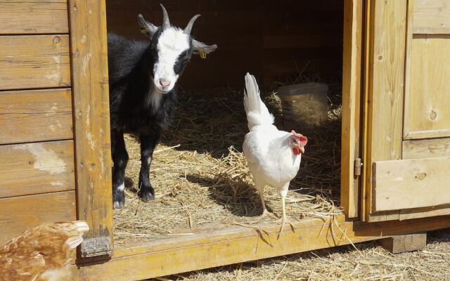 Freizeitreitstall Schammelsdorf