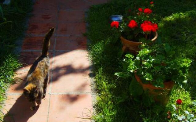 Rooms Top Gun Zrenjanin