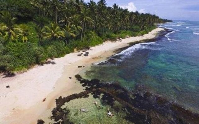 Mirissa Harbour View