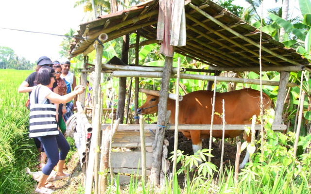 BeingSattvaa Luxury Ubud
