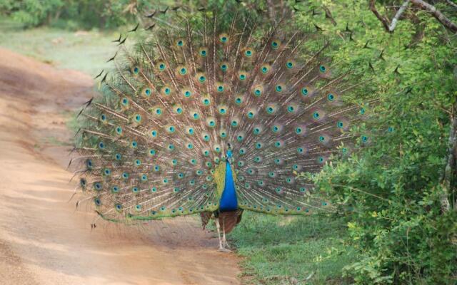 Yala Peace Cottages
