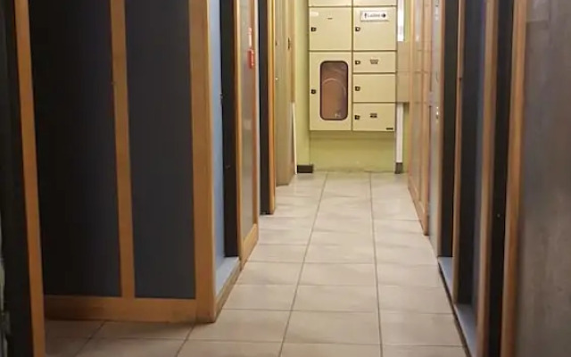 Wild Zebra Backpackers