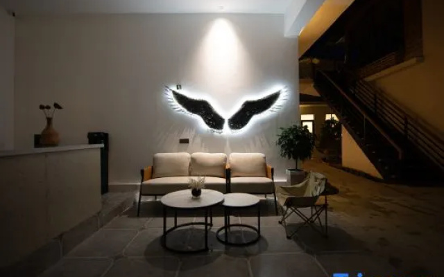 Turks Flip Pigeon Homestay