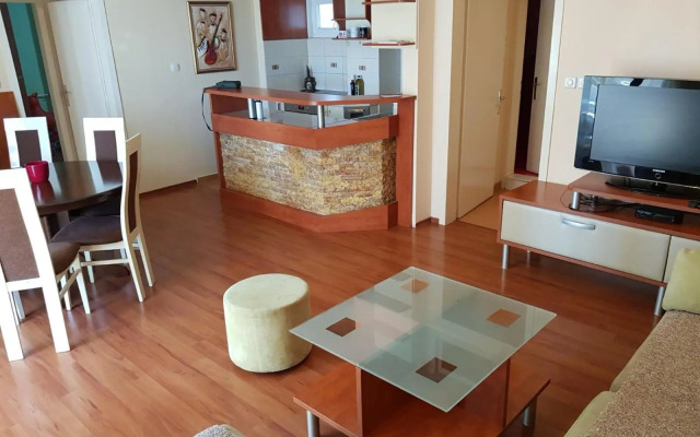 Petrov Apartment in Downtown - City Center 70m2