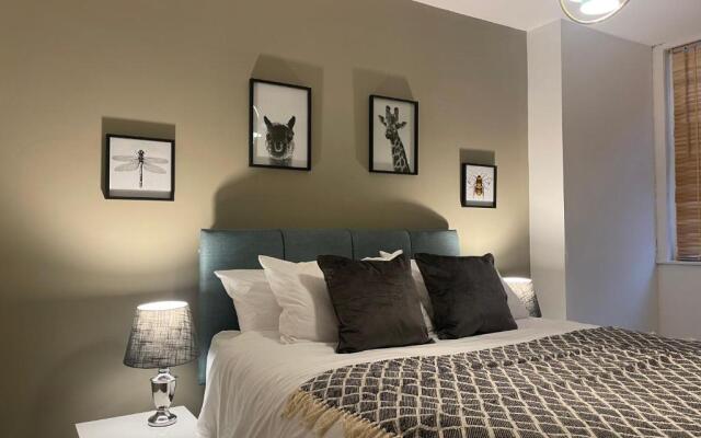 Central Apartment - Moderna