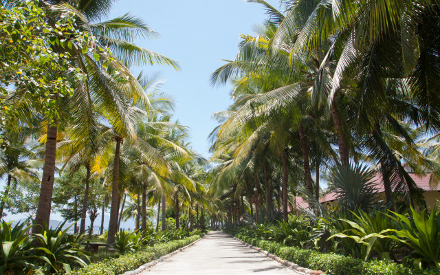 Diamond Bay Resort and Spa