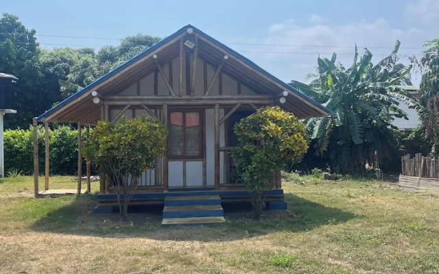 Tree of Life - Hostel