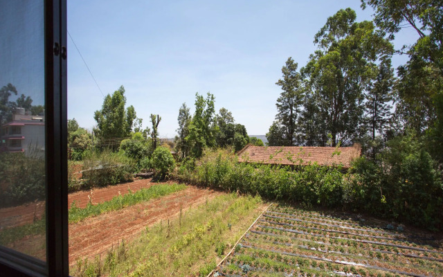 OYO 12936 Hotel Paradise