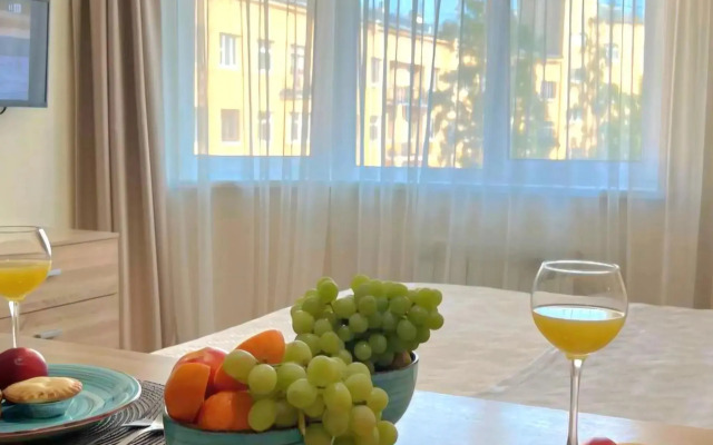 Уютные апартаменты на улице Швецова